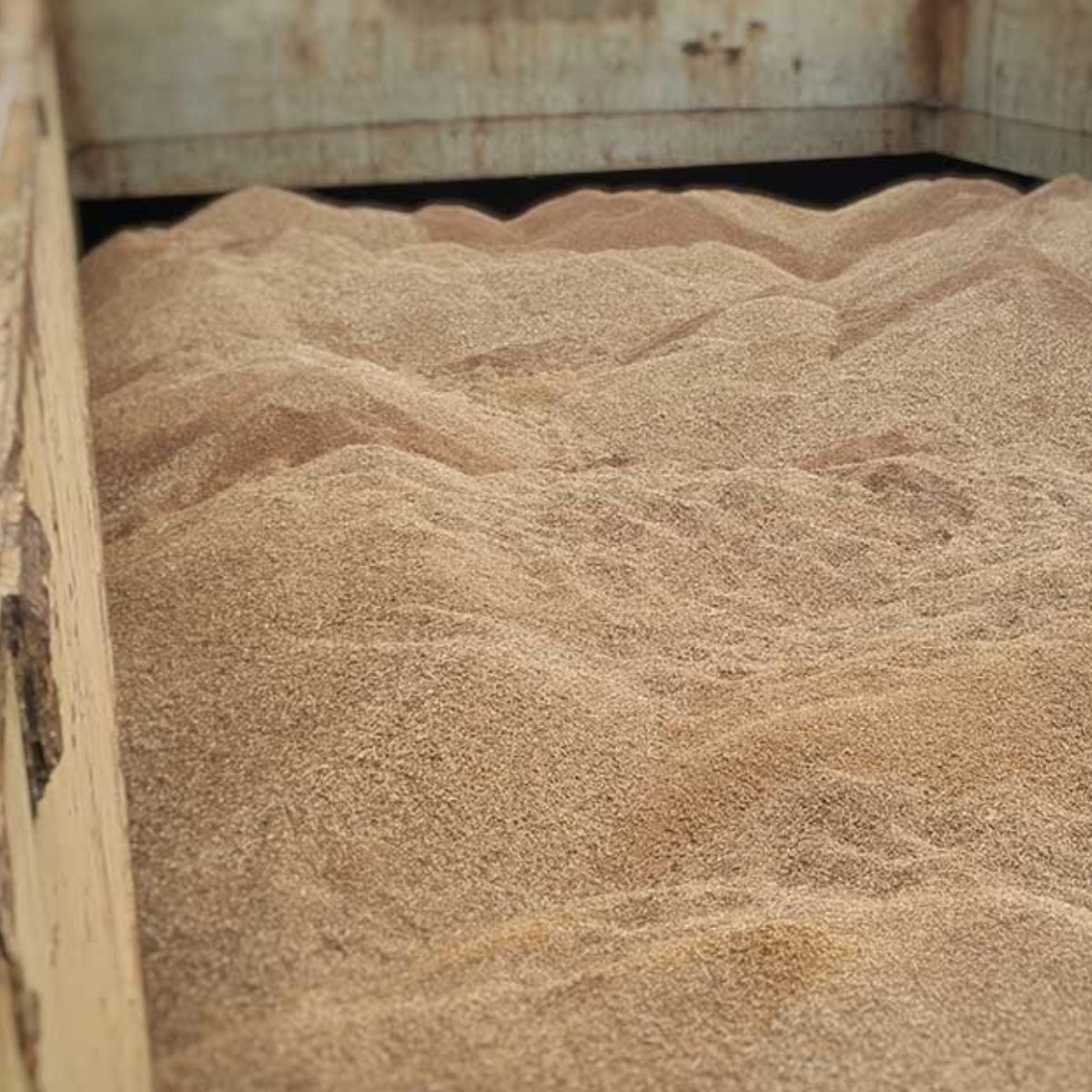 raw material albasia untuk pellet kayu